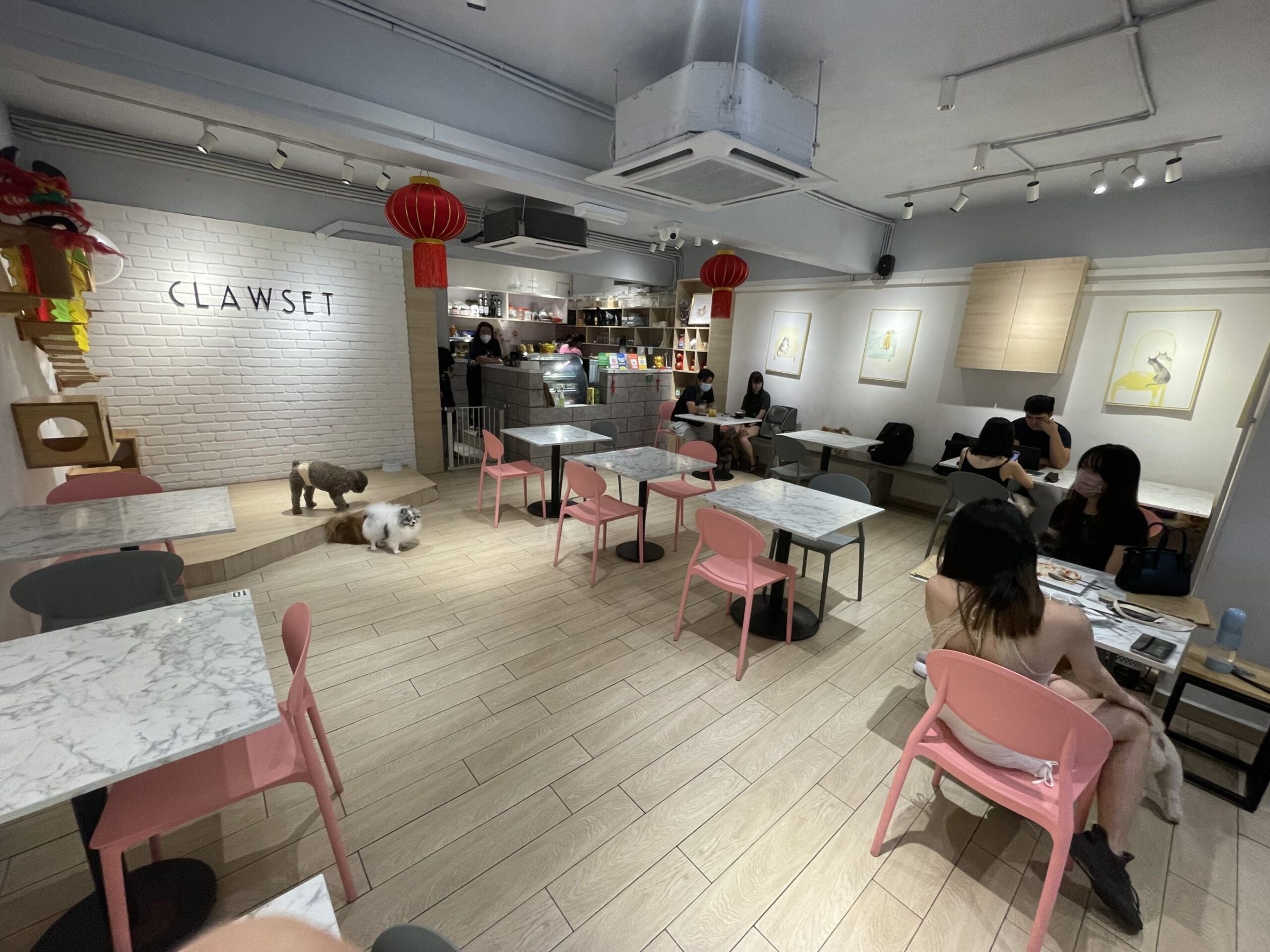 Clawset Pet Café」で可愛い子犬達と幸せなひととき