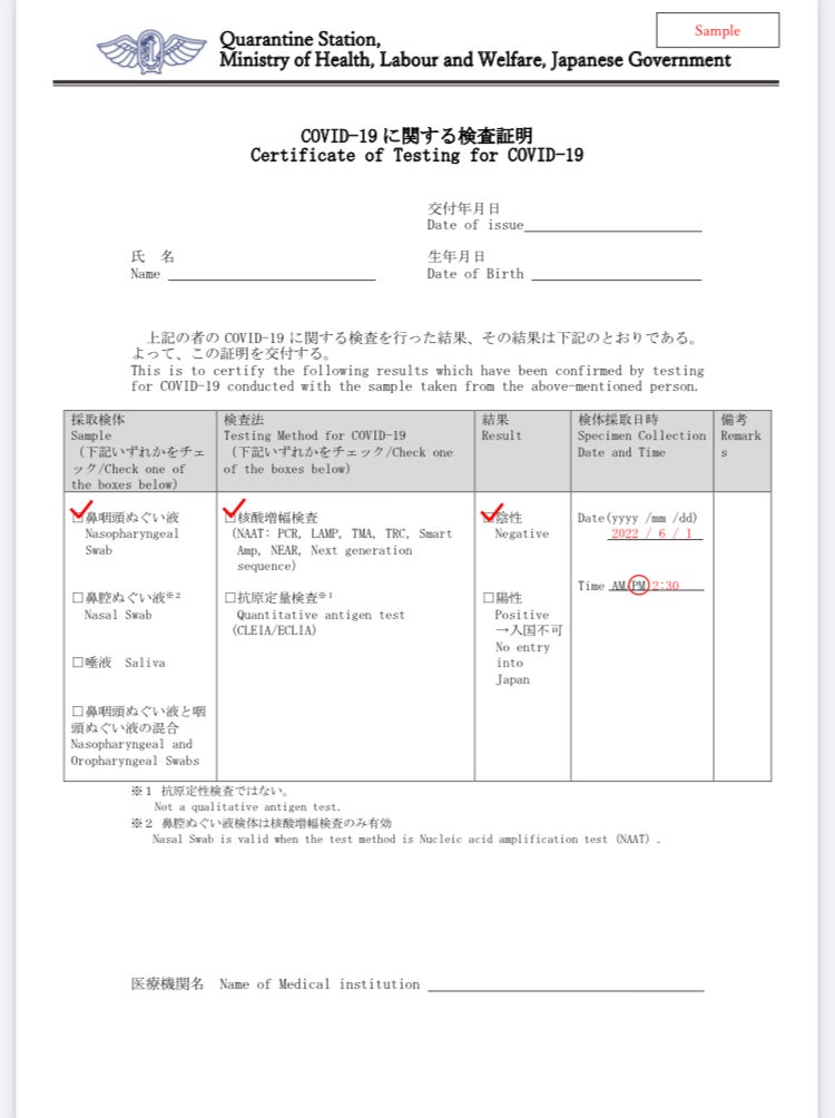 Singapore入国手続き