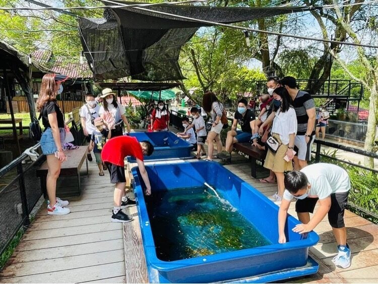 大きな水槽で魚すくい