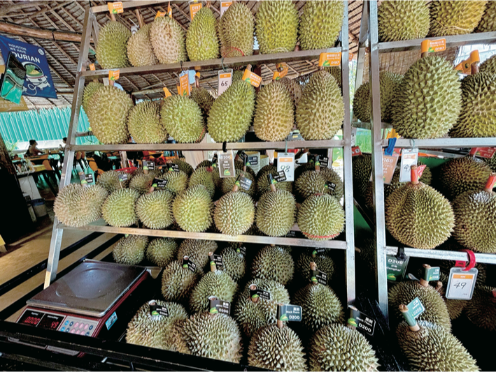 今が旬！マレーシアの国民的フルーツ「ドリアン」特集