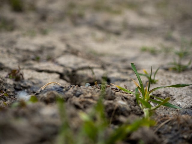 【新着】ペラ州で水不足　政府は人工降雨を指示