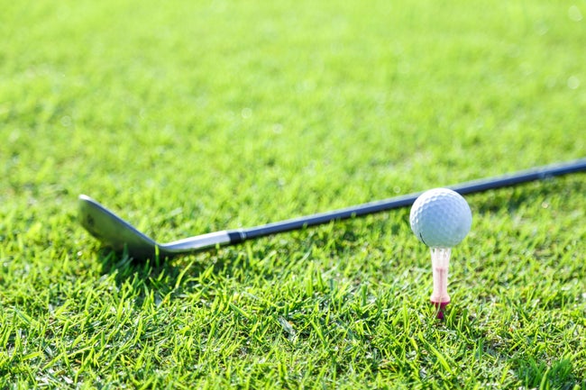 流動的なゴルフ場料金の情報を逃さない！ ゴルフ場予約アプリGoGolf