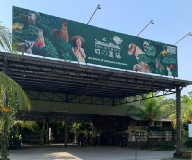 ​​春休みのお出かけスポットに​   ​​Farm In The Cityで自然と動物にふれあう特別な体験を！​