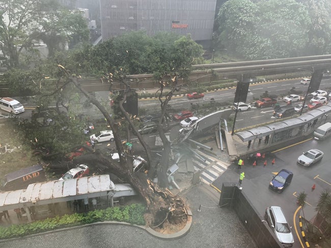 暴風雨の倒木、KLモノレール一部運休