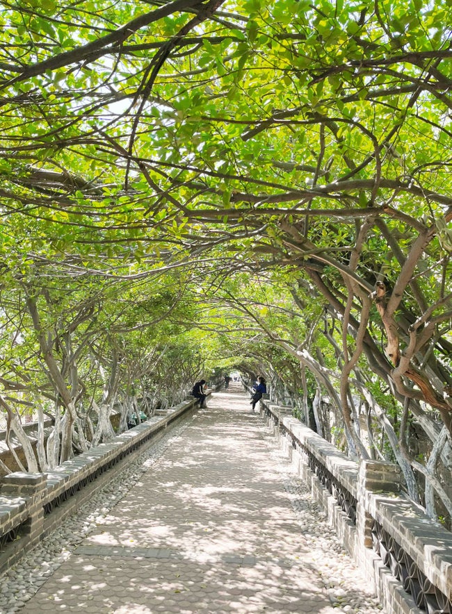 セランゴール州に新テーマパーク「Magika Studios」誕生へ — 自然と学びを融合